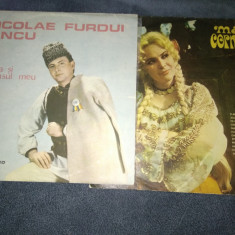 LOT 19 VINILURI MUZICA POPULARA