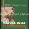 Matusa Julia Si Condeierul - Mario Vargas Llosa
