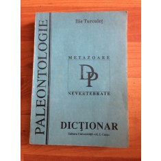 METAZOARE NEVERTEBRATE-ILIE TURCULET