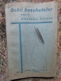 OCHII BOSCHETELOR-ALEXANDRU VITIANU