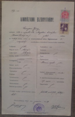 Certificat gimnazial// Oravita 1919 foto
