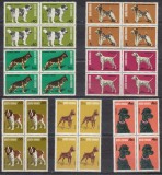 ROMANIA 1981 LP 1024 EXPOZITIA NATIONALA CANINA BLOCURI DE 4 TIMBRE MNH