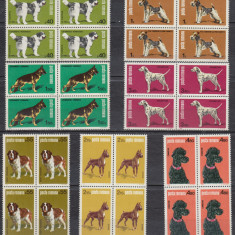 ROMANIA 1981 LP 1024 EXPOZITIA NATIONALA CANINA BLOCURI DE 4 TIMBRE MNH