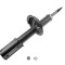 Amortizor FIAT DUCATO bus (230) (1994 - 2002) RINGER 1542002292