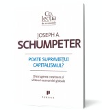 Poate supravietui capitalismul? - Joseph A. Schumpeter - Editura Publica