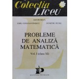 Probleme de analiza matematica Vol. 1 (Clasa XI) - 1993 - Ion Petrica (xx885)