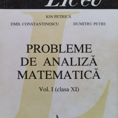 Probleme de analiza matematica Vol. 1 (Clasa XI)