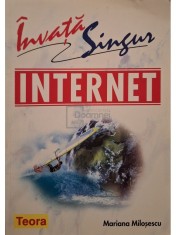 Mariana Milosescu - Invata singur internet (Editia: 2006) foto
