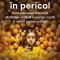 O Generatie In Pericol, Jonathan Haidt - Editura Bookzone