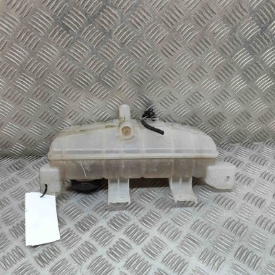 Vas de expansiune TESLA MODEL X 2018 OEM: 1036124-00-D 30381904 foto