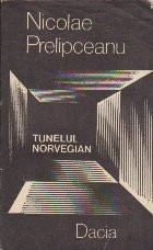 Tunelul norvegian foto
