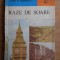 Adina M. Arsenescu - Raze de soare