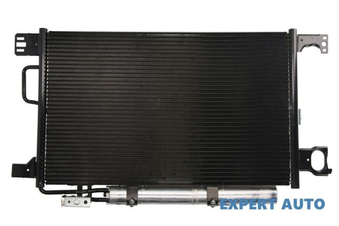 Radiator ac Mercedes C-Class (2000-2007) [W203] #1