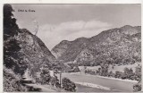 Bnk cp Oltul la Cozia - Vedere - uzata, Circulata, Printata, Valcea