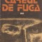 Careul de fuga, Volumul al II-lea