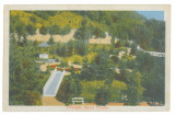 4892 - PITESTI, Arges, Trivale Park, Romania - old postcard - unused, Necirculata, Printata