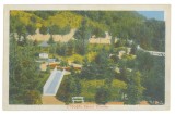 4892 - PITESTI, Arges, Trivale Park, Romania - old postcard - unused