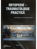 Gheorghe Panait (red.) - Ortopedie-traumatologie practica (Editia: 2002)