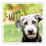 Love Is a Mutt