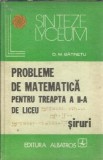 Cumpara ieftin Probleme de matematica pentru treapta a II-a de liceu. Siruri - D. M. Batinetu