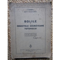BOLILE SI INSECTELE DAUNATOARE TUTUNULUI - V. GHIMPU