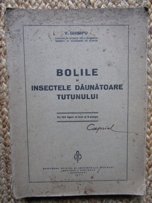 BOLILE SI INSECTELE DAUNATOARE TUTUNULUI - V. GHIMPU