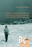 Cuantificarea bugetului de sedimente si determinarea ratelor de denudatie in Valea Doamnei, Muntii Fagarasului &ndash; Adrian-Cristian Ardelean