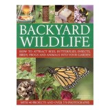 Backyard Wildlife