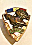 INSIGNA AGVPS COCOS DE MUNTE EMAIL CALD VANATOARE PESCUIT AJVPS AVPS, Romania de la 1950