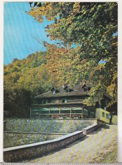 bnk cp Valea Jiului - Lunca Florilor - circulata - marca fixa foto