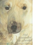 Fiul tinutului de gheata - Jackie Morris