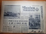 Scanteia tineretului 27 august 1963-art. regiunea arges,timisoara ,deva,galati