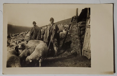 FOTOGRAF J. FISCHER , SIBIU , CIOBANI ROMANI DIN ZONA PARANGULUI , CARTE POSTALA ILUSTRATA foto