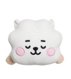 Jucarie de plus - Mini Pillow Cushion - RJ | BT21