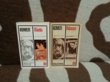 ILIADA/ODISEEA-HOMER (2 VOL)