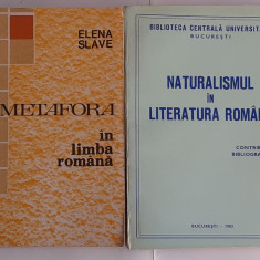 Elena Slave - Metafora In Limba Romana + Naturalismul In Literatura Romana