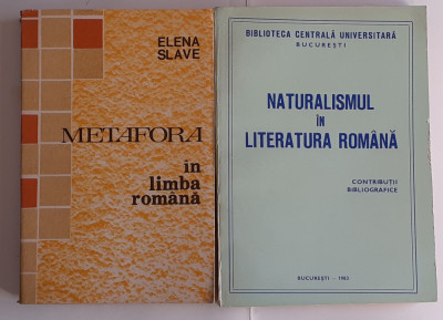Elena Slave - Metafora In Limba Romana + Naturalismul In Literatura Romana foto