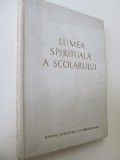 Lumea spirituala a scolarului (preadolescenta si adolescenta) -
