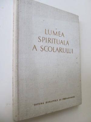 Lumea spirituala a scolarului (preadolescenta si adolescenta) - foto