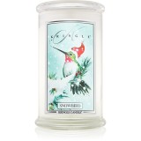 Kringle Candle Snowbird lum&acirc;nare parfumată 624 g