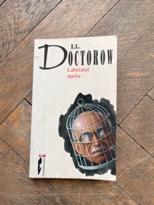 E. L. Doctorow - Labirintul apelor foto