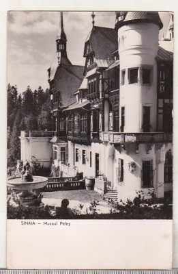 bnk cp Sinaia - Muzeul Peles - circulata foto