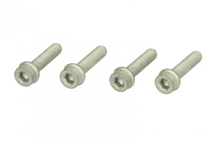 Crankshaft fixing bolts set/kit AUDI A3. A4. A6; FORD GALAXY; SEAT ALHAMBRA. INCA. LEON. TOLEDO II; SKODA OCTAVIA. SUPERB; VW BORA. CADDY II. GOLF IV.