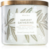 Bath &amp; Body Works Harvest Gathering lum&acirc;nare parfumată cu uleiuri esentiale 411 g