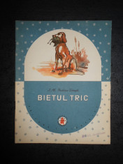 I. AL. BRATESCU-VOINESTI - BIETUL TRIC (1958, ilustratii de N. HILOHI) foto