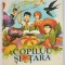 Carte povesti- Copilul si tara - Virgil Carianopol 1981