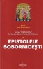 Ioan Sorin Usca - Noul Testament in talcuirea Sfintilor Parinti. Epistolele, 2022, Brosata