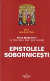 Ioan Sorin Usca - Noul Testament in talcuirea Sfintilor Parinti. Epistolele