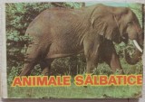 Animale salbatice// carte total cartonata din perioada comunista