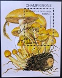 Ciuperci - Guineea 1995 - Coliță Poștală Gymnopilus junonius Champignons (Ștampilată / CTO) CP1_II